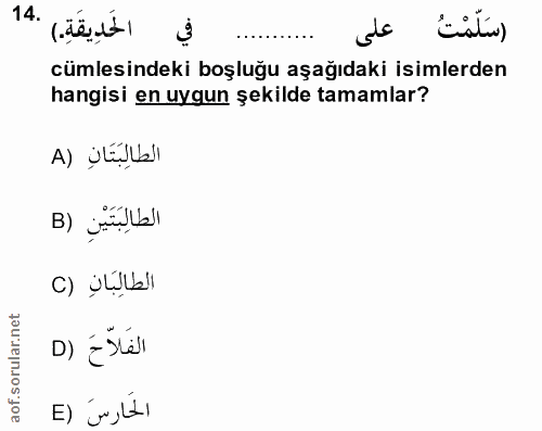 Soru 14