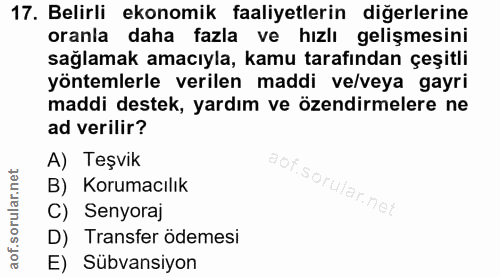 Soru 17
