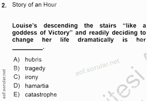 Soru 2
