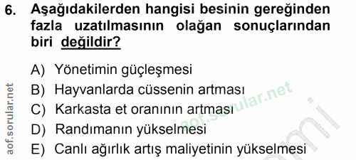 Soru 6