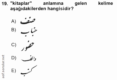 Soru 19