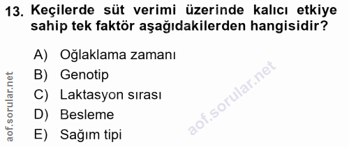 Soru 13