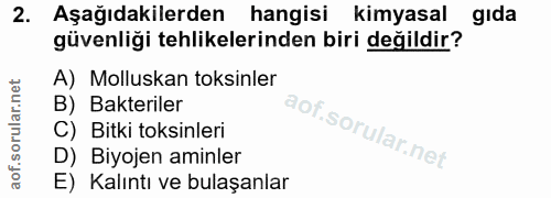 Soru 2
