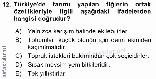 Soru 12