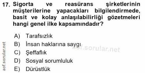 Soru 17