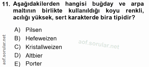 Soru 11