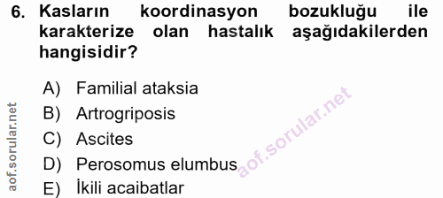 Soru 6