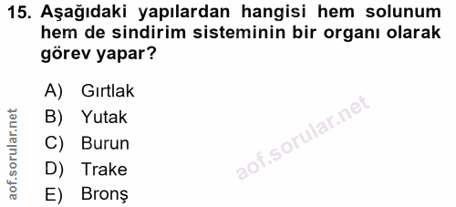 Soru 15
