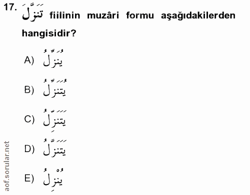 Soru 17