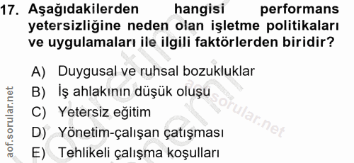 Soru 17