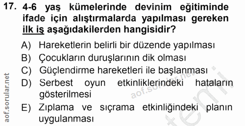 Soru 17