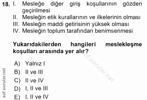 Soru 18