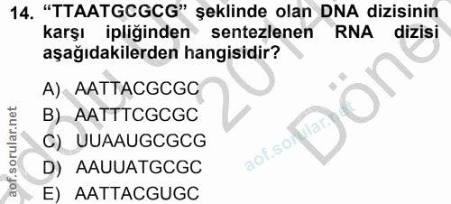 Soru 14