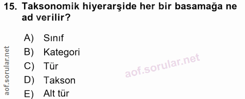 Soru 15