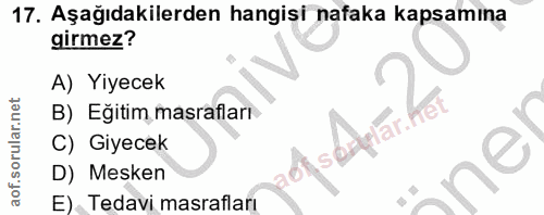 Soru 17
