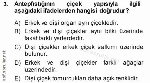 Soru 3