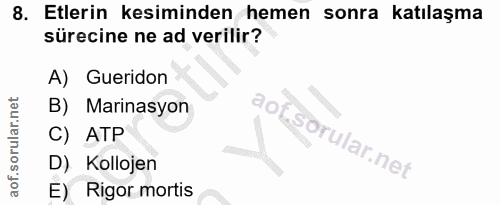Soru 8
