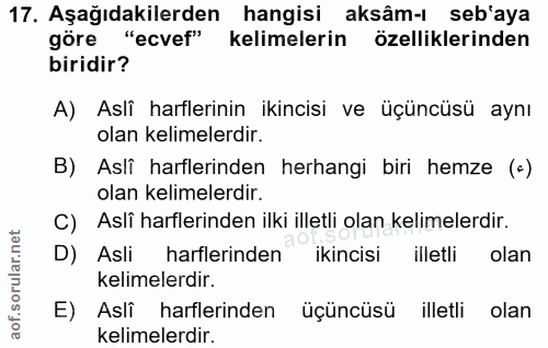 Soru 17