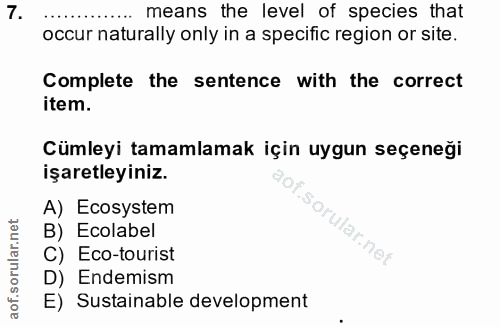 Soru 7
