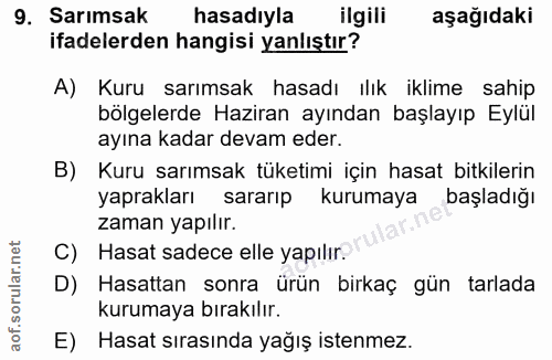 Soru 9