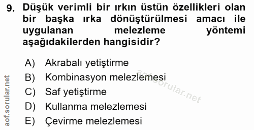 Soru 9