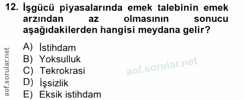 Soru 12