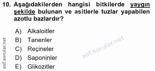 Soru 10