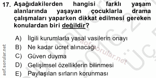 Soru 17