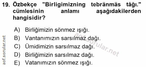 Soru 19