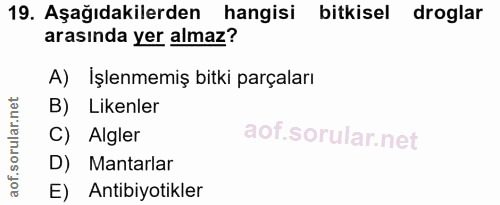 Soru 19