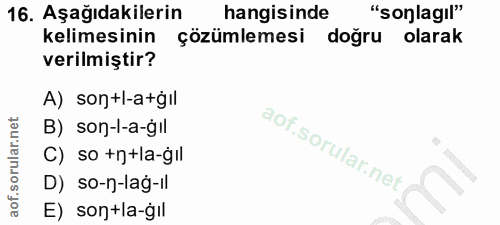 Soru 16