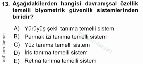 Soru 13