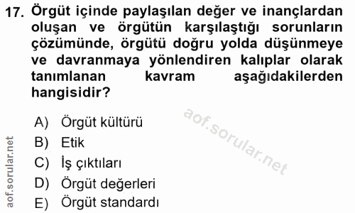 Soru 17