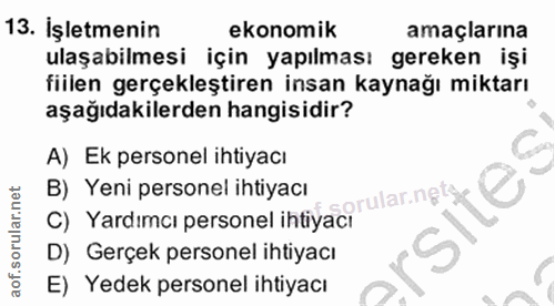 Soru 13