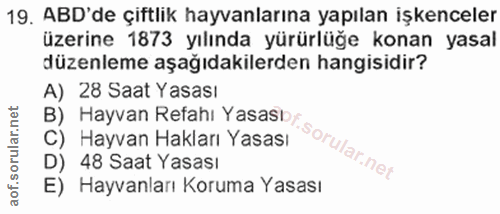 Soru 19