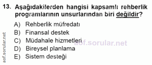 Soru 13