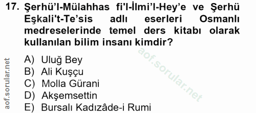 Soru 17