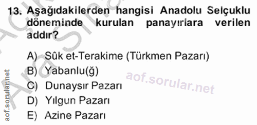 Soru 13