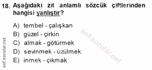 Soru 18
