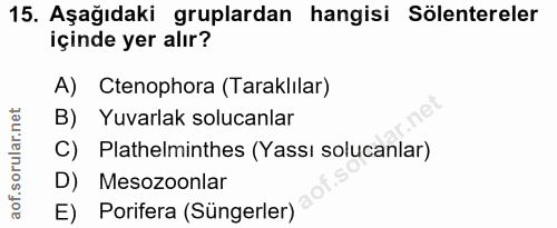 Soru 15