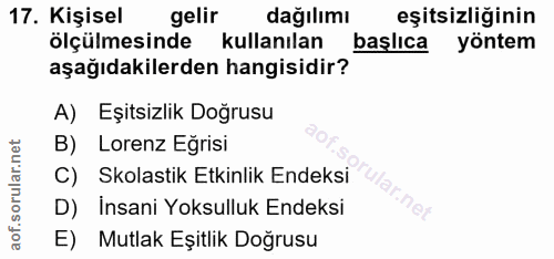 Soru 17