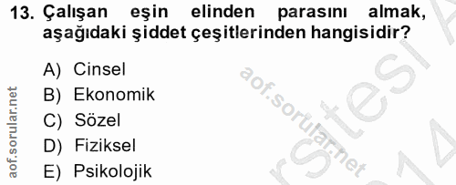Soru 13