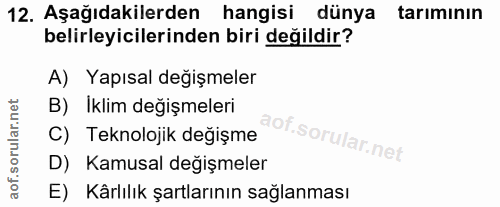 Soru 12