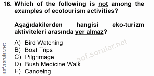 Soru 16