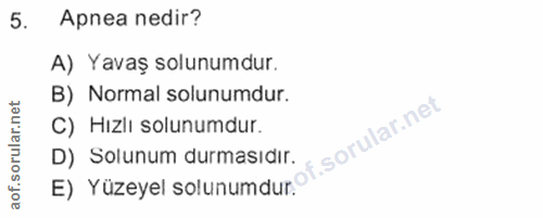 Soru 5
