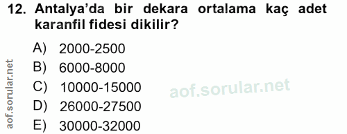 Soru 12