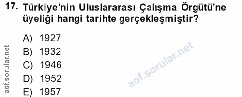 Soru 17