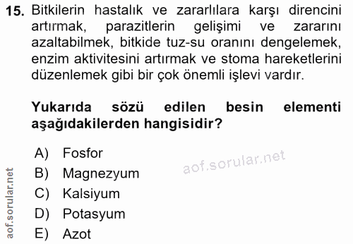 Soru 15