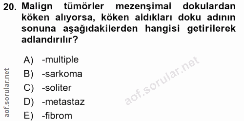 Soru 20