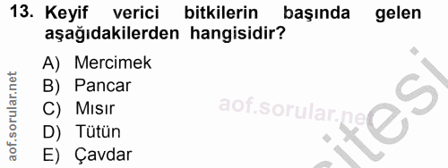 Soru 13